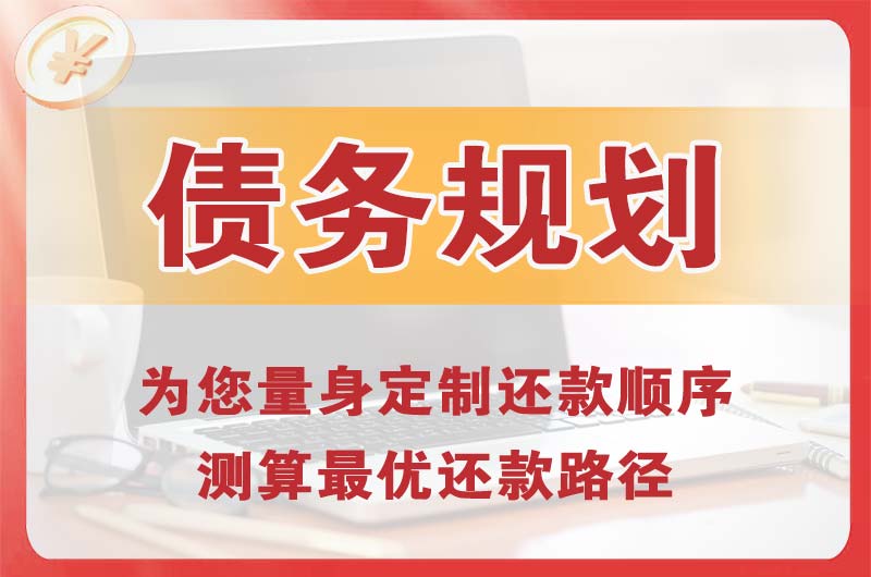 沅江债务规划